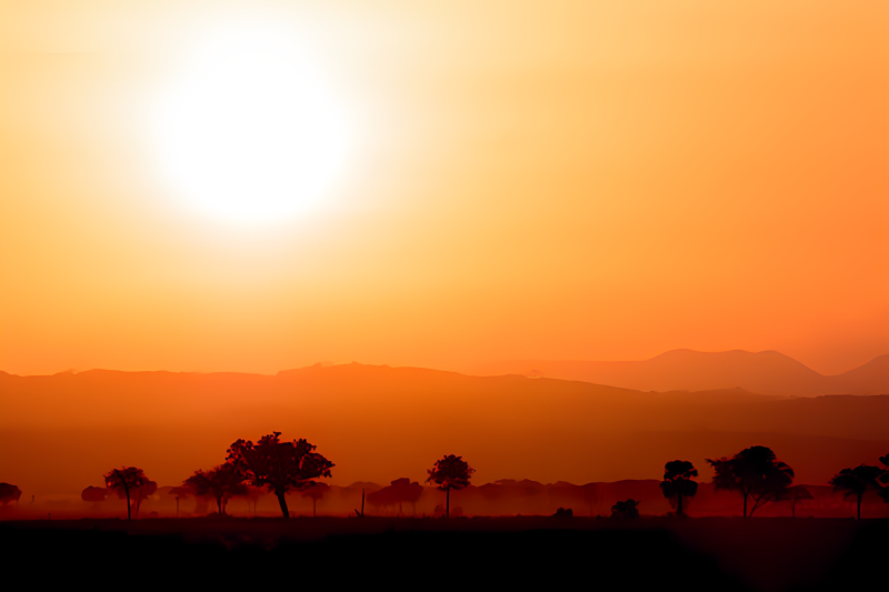 4 DAYS FLY-IN & FLY-OUT SERENGETI SAFARI