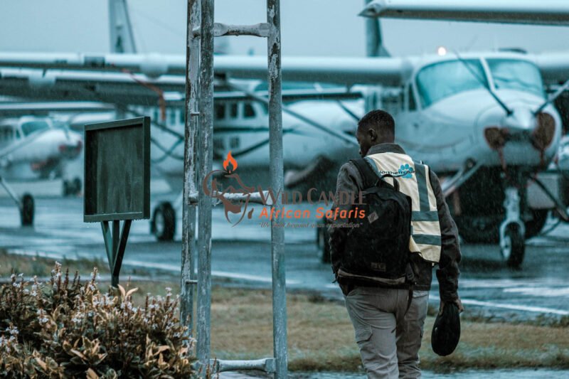 6 DAYS DRIVE & FLY-OUT LUXURY SAFARI