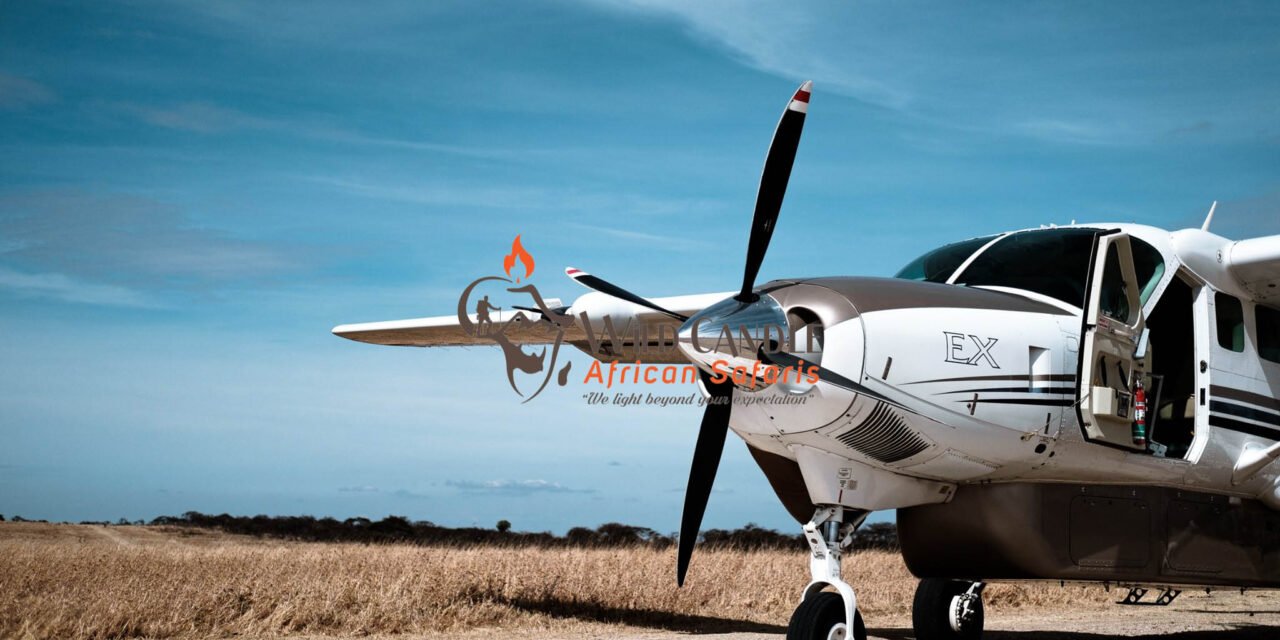 6 DAYS DRIVE & FLY-OUT MIDRANGE SAFARI