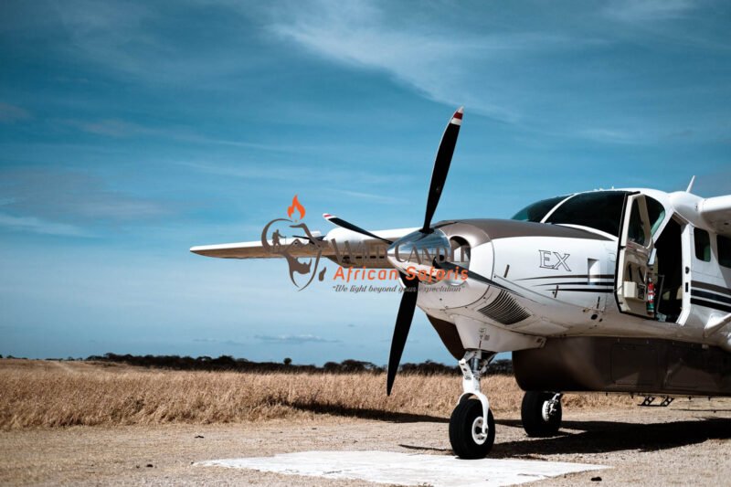 6 DAYS DRIVE & FLY-OUT MIDRANGE SAFARI