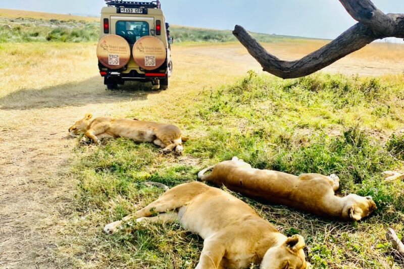 12 DAYS MIDRANGE KENYA & TANZANIA WILDLIFE SAFARI (Nairobi National Park, Masai Mara Game Reserve, Tarangire, Manyara, Serengeti & Ngorongoro crater)