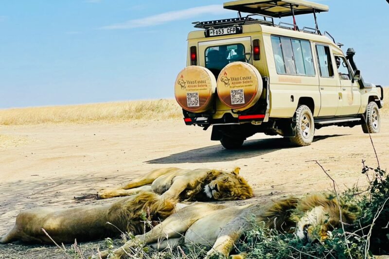 6-DAY LUXURY TANZANIA SAFARI (Tarangire, Manyara, Serengeti & Ngorongoro crater)
