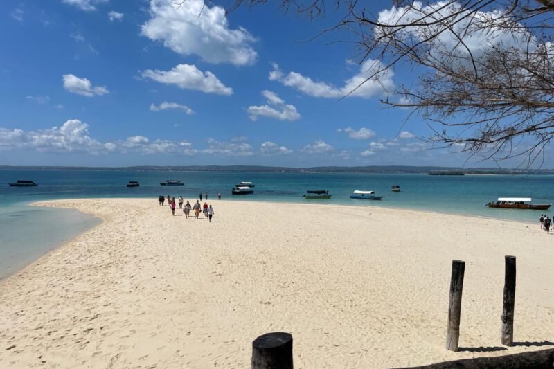 5 DAYS DRIVE & FLY-OUT MIDRANGE SAFARI