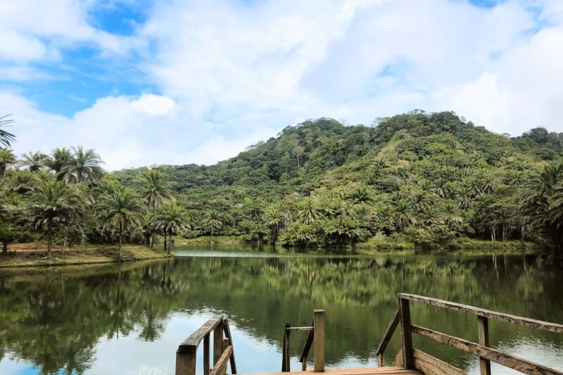 DAY TRIP TO MAGOROTO FOREST