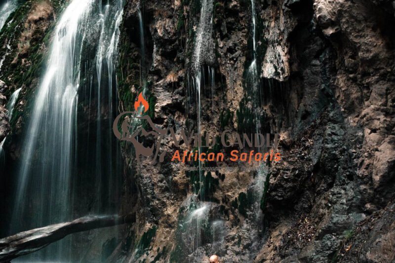 10-DAY COMFORT NORTH SERENGETI MIGRATION SAFARI + CULTURAL EXPERIENCE (Materuni waterfalls, Tarangire, Serengeti, Ngorongoro crater & Mto wa Mbu Village visit)