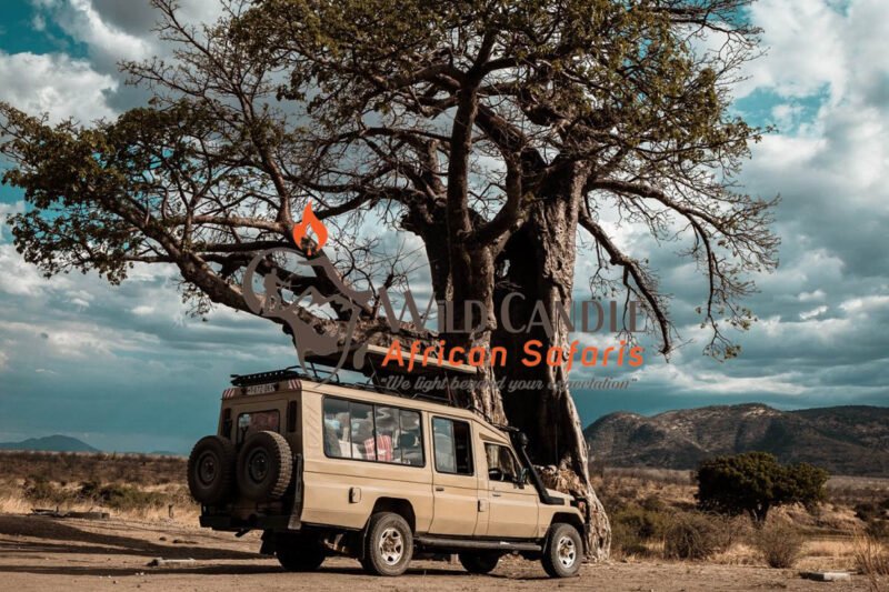 8-DAY COMFORT NORTH SERENGETI MIGRATION SAFARI + CULTURAL EXPERIENCE (Tarangire, Lake Natron, Ngorongoro crater & Serengeti)